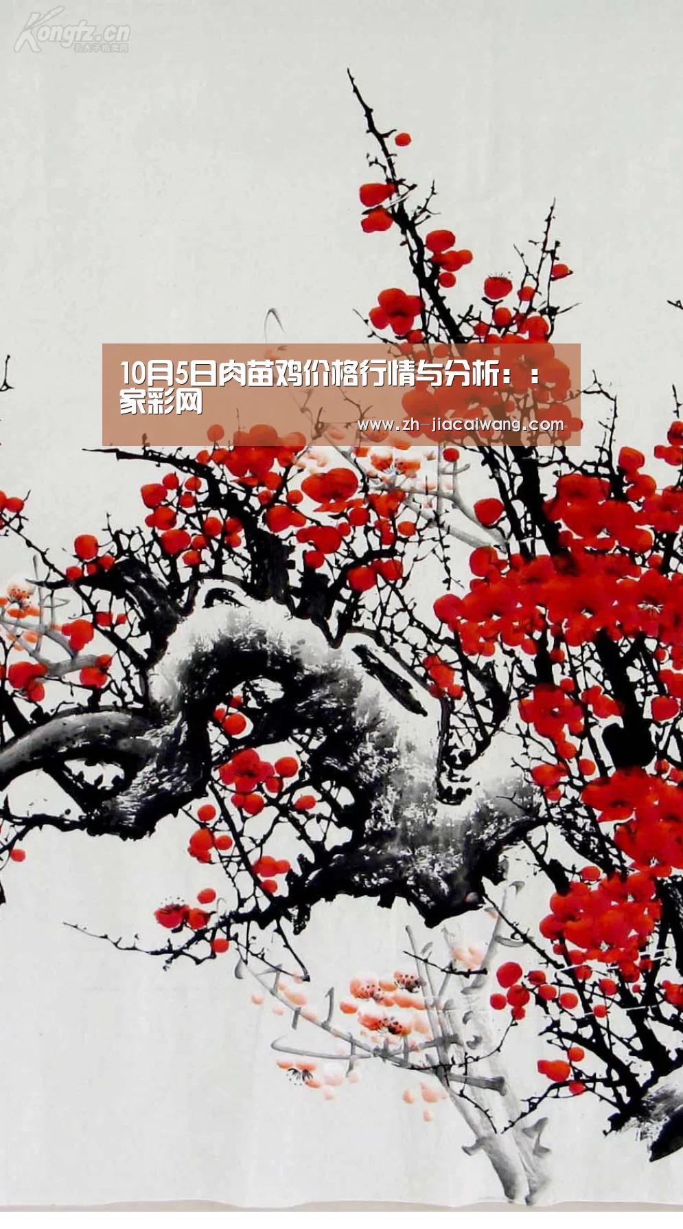 10月5日肉苗鸡价格行情与分析::家彩网(图1) 家彩网