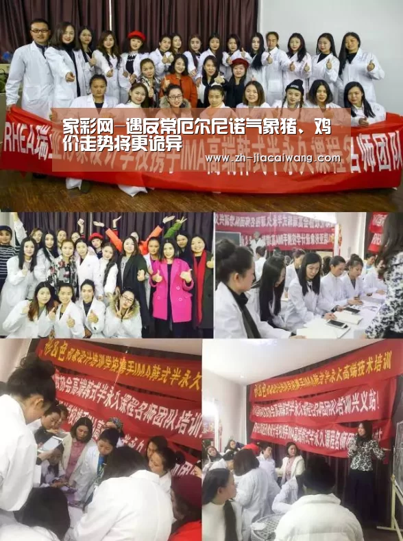 家彩网-遇反常厄尔尼诺气象猪、鸡价走势将更诡异(图1) 家彩网