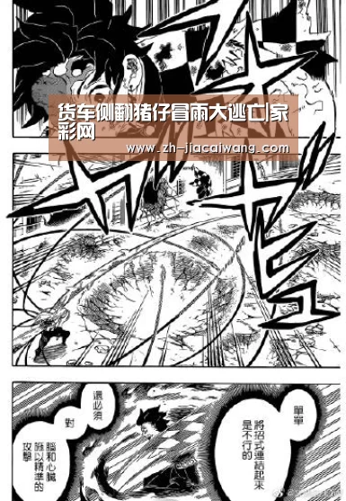 货车侧翻猪仔冒雨大逃亡|家彩网(图3) 家彩网