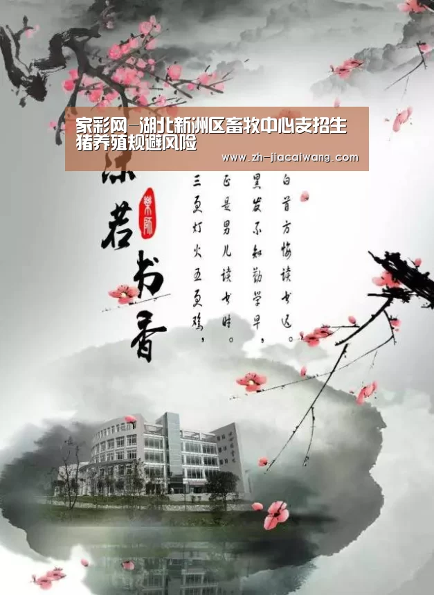 家彩网-湖北新洲区畜牧中心支招生猪养殖规避风险(图1) 家彩网